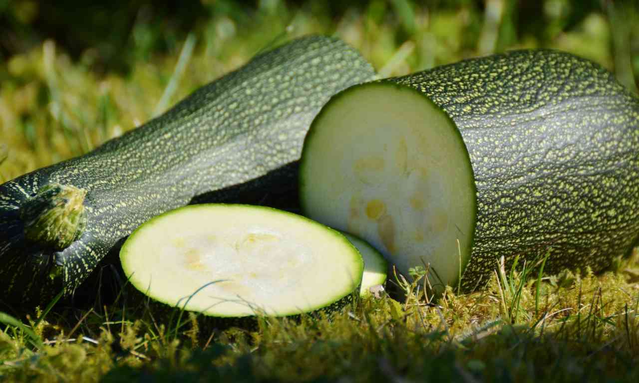 zucchine