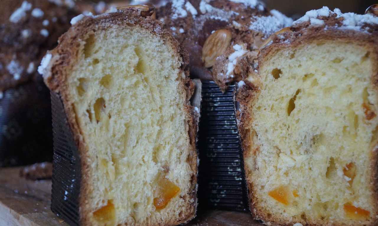 colomba cioccolato senza impasto