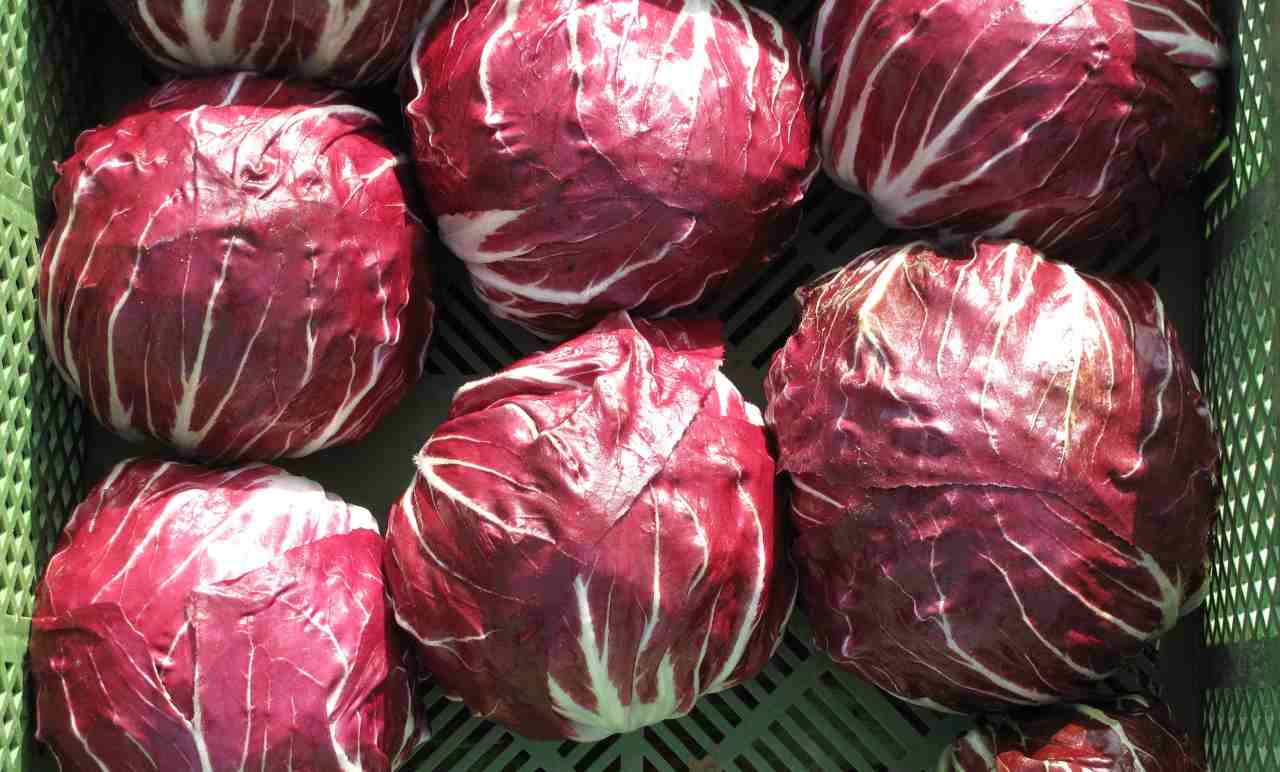 barchette radicchio