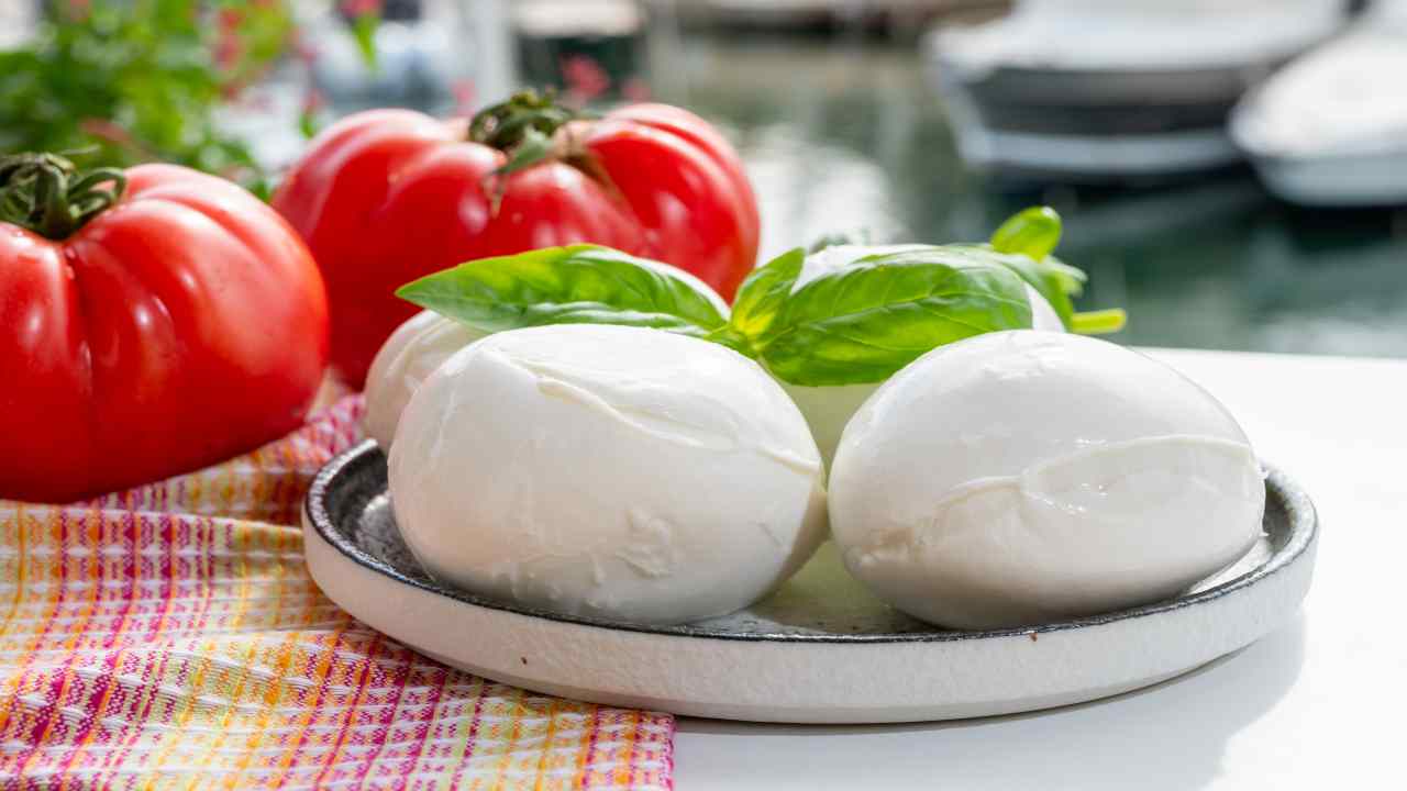 caprese mozzarella