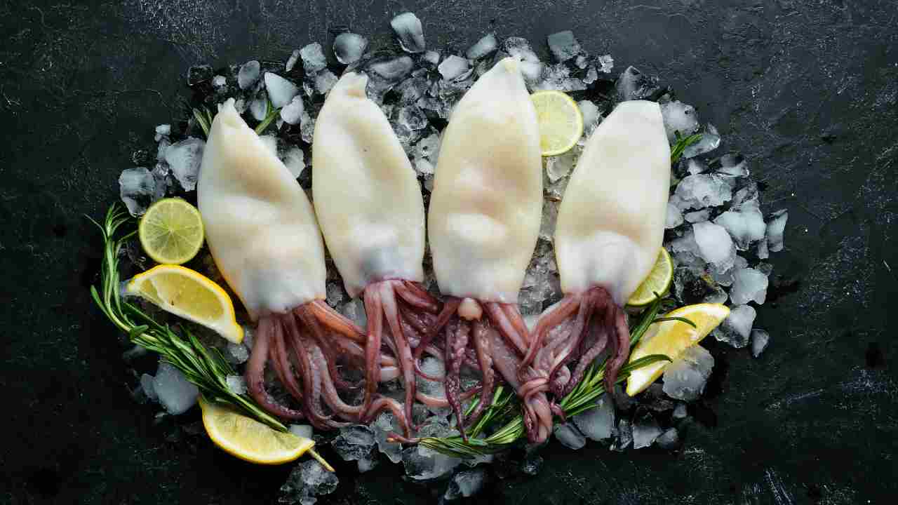 calamari ripieni