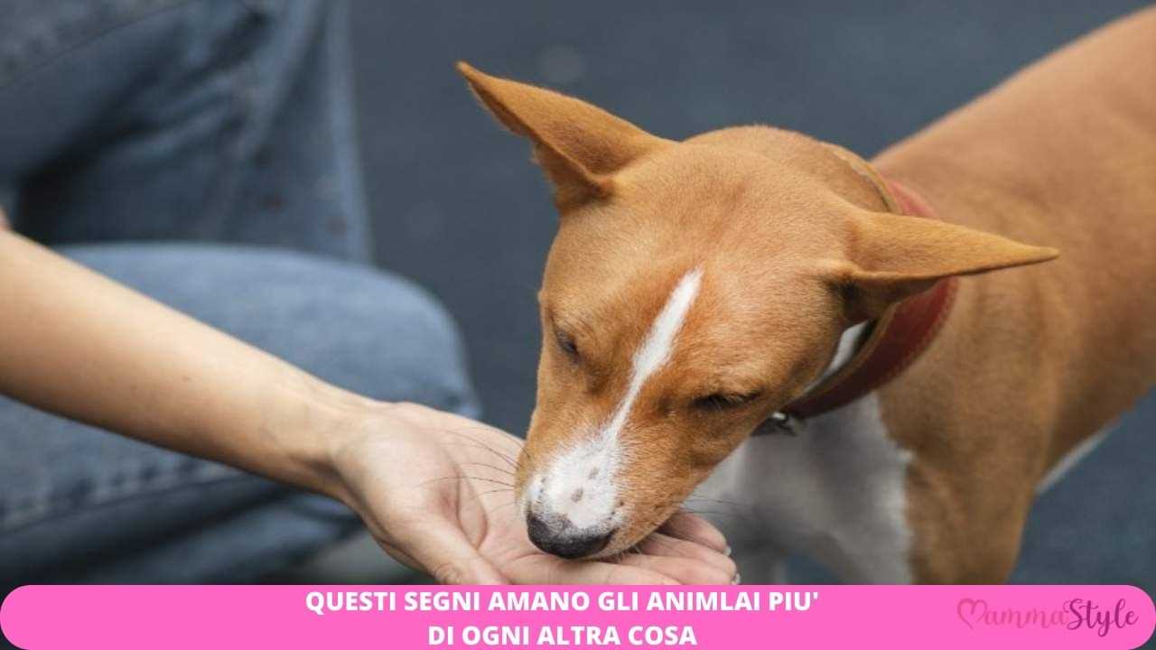 segni amanti animali