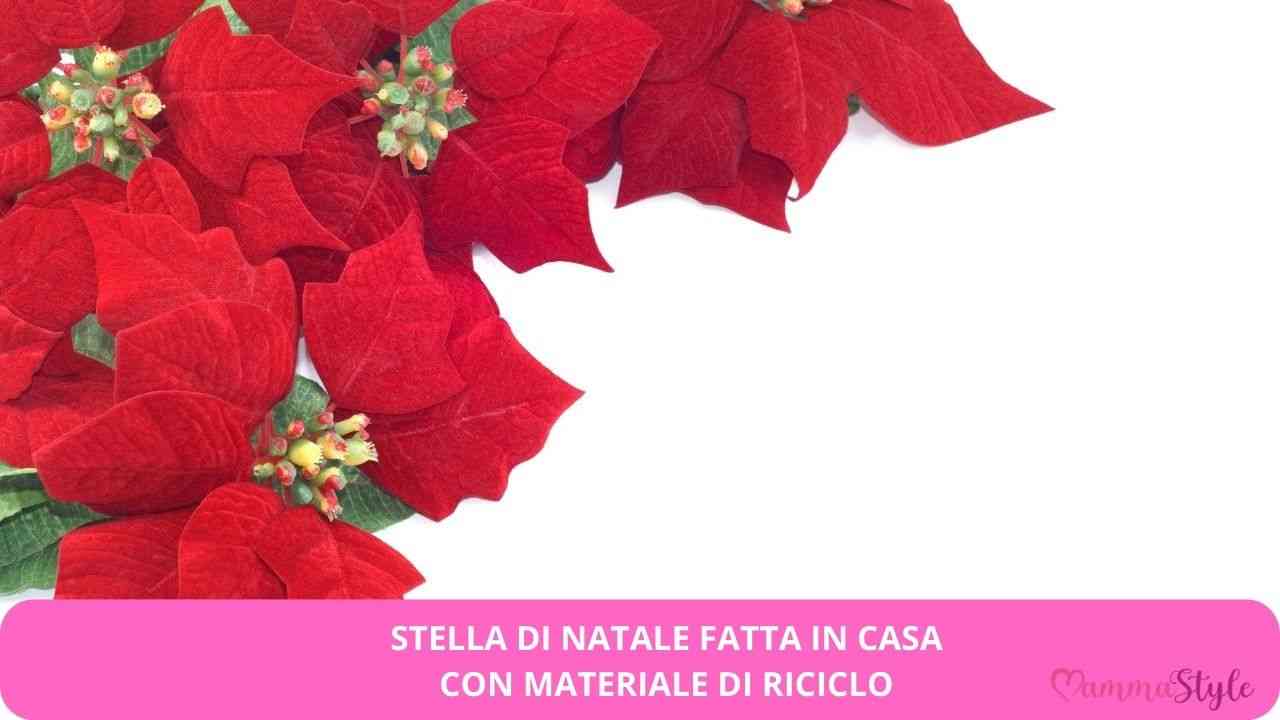 stella natale